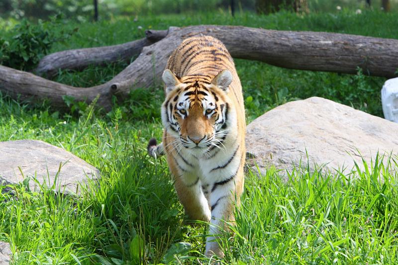 2008-08-05 11.01.31(0001).JPG